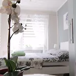 Tygrys Закопане