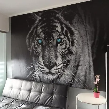 Daire Tygrys Zakopane