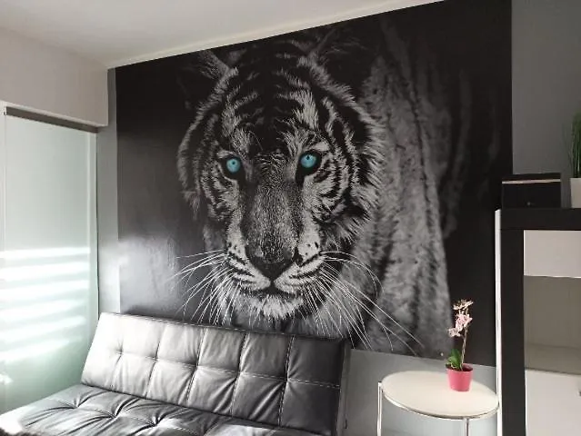 Appartement Tygrys Zakopane